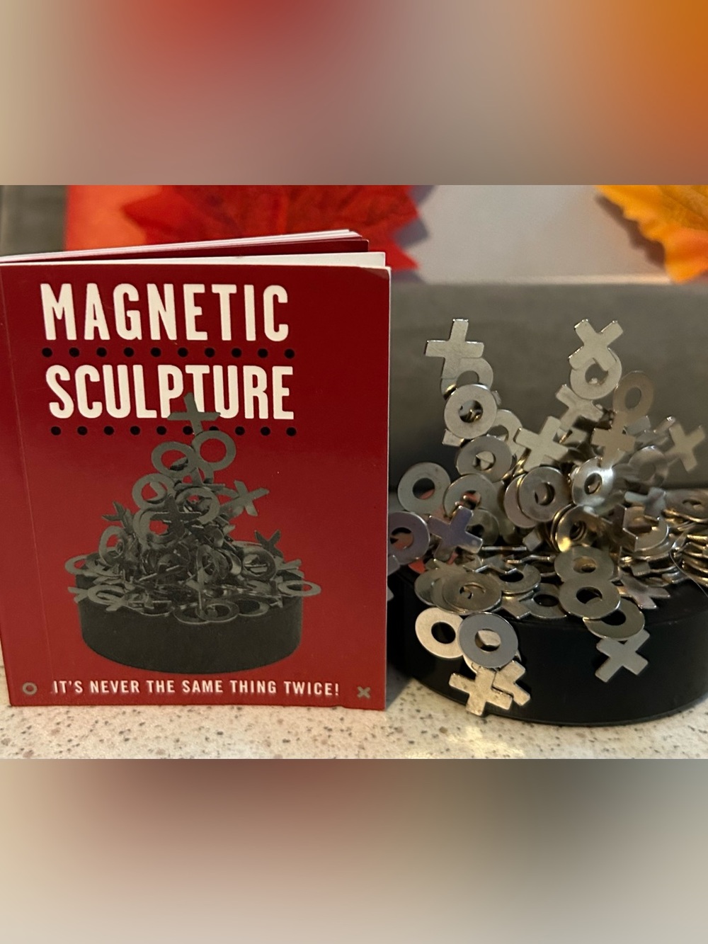 Magnetic Sculpture Desk Set - Black Base with Silver Pieces